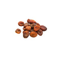 Organic turkish apricots on white background