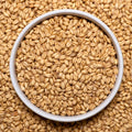 Bowl of organic wheat berries hard red spring