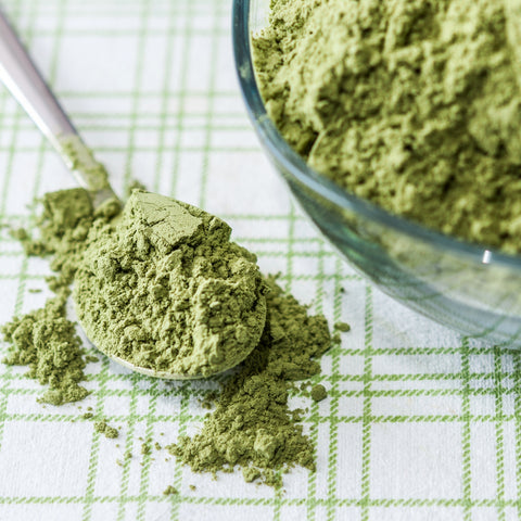 Spoonful of organic wheatgrass powder