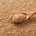 Spoonful of organic white quinoa