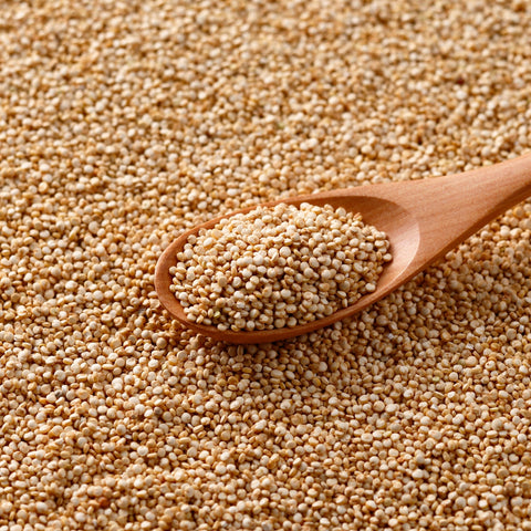 Spoonful of organic white quinoa