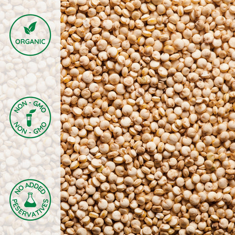 Close-up of organic white quinoa