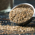 Spoonful of organic whole celery seed