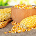 Bowl of organic whole kernel yellow corn