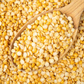 Spoonful of organic yellow split peas, dry and uncooked