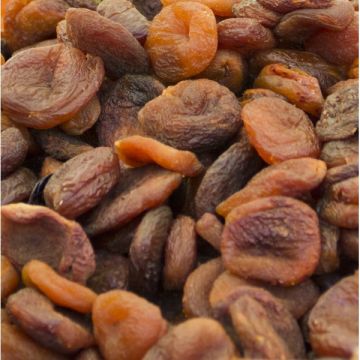 Organic Apricots, Turkish