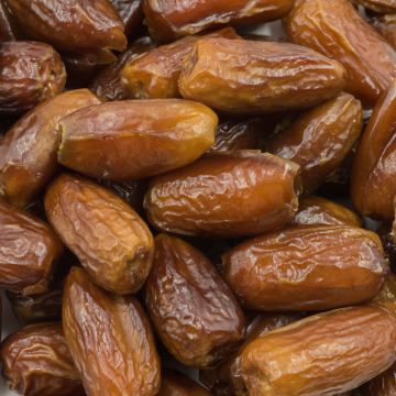 Organic Deglet Noor Dates