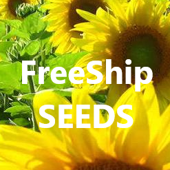 SunOrgannic Farm FreeShip Organic Seeds