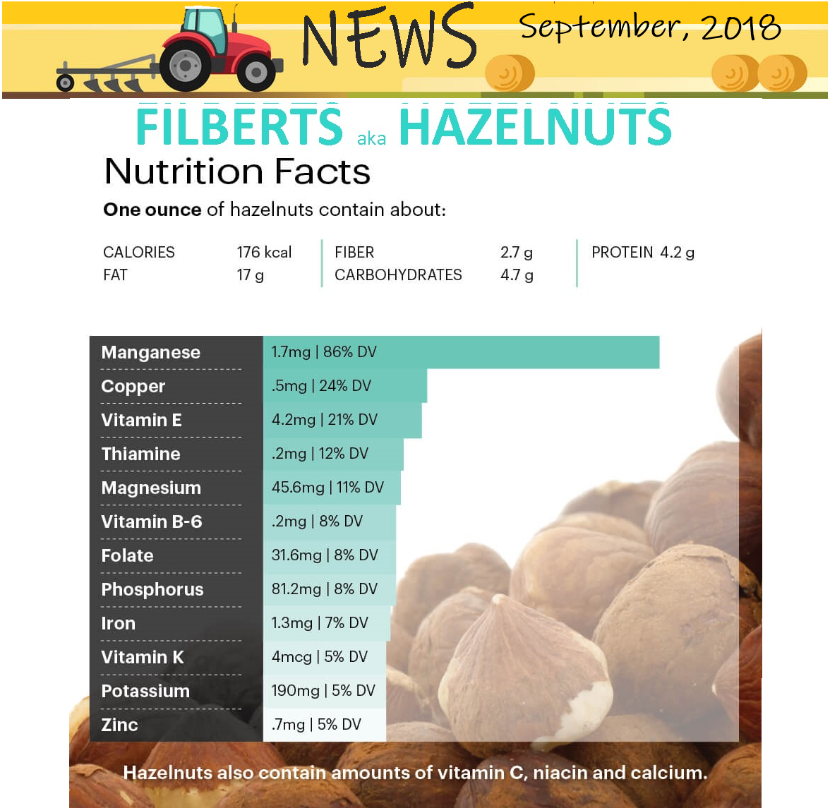 Organic Filberts / Organic Hazelnuts Organic Filberts / Organic Hazelnuts