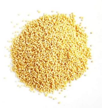 Organic Millet, Hulled - Proso Variety