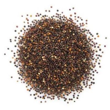 Organic Quinoa, Black