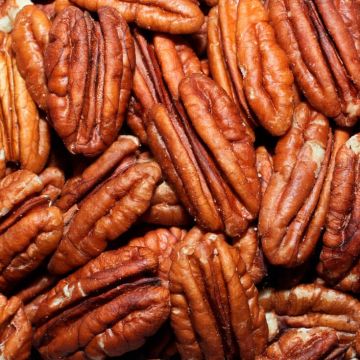 Pecans, Raw Organic, Halves