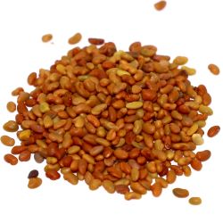 Alfalfa Seed - Organic