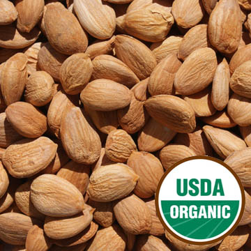 Organic Apricot Kernels, Bland - OUT OF STOCK - NO EXPECTED DATE