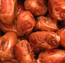 Organic Khadrawi Dates