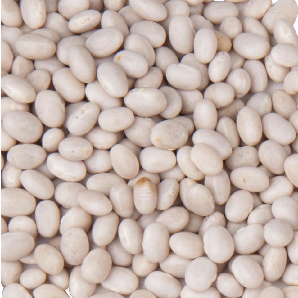 Organic Navy Beans