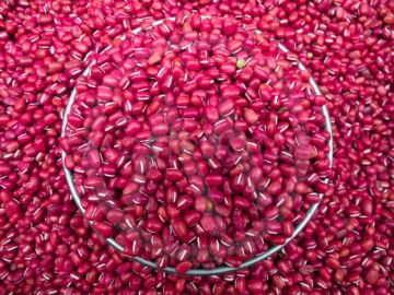 Organic Aduki Beans (Adzuki)