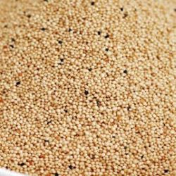 Organic Amaranth