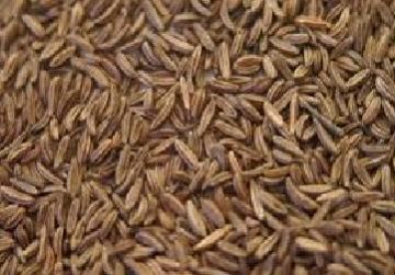 Organic Caraway Seed, Whole