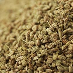 Organic Celery Seed, Whole