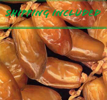 Organic Deglet Noor Dates, Shipping via Priority Mail Included