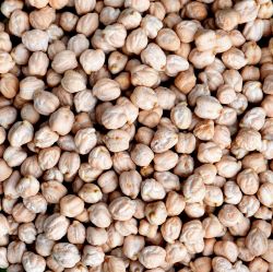 Organic Garbanzo Beans aka Chickpeas