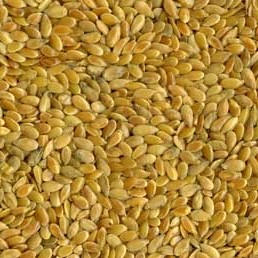 Golden Flax Seed - Organic