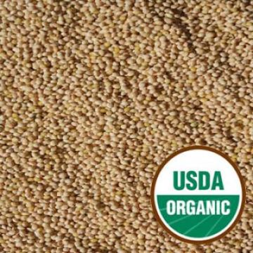 Organic Millet, Whole with shell - Proso Variety - OUT OF STOCK