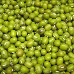 Organic Mung Beans