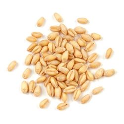Organic Wheat Berries, Pastry, Soft White