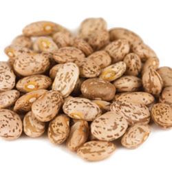 Organic Pinto Beans