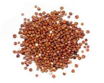 Organic Quinoa, Red