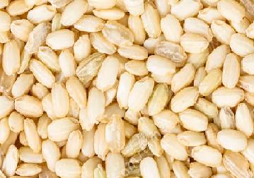 Sweet Brown Rice / Mochi - Organic