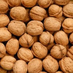 Walnuts, In-shell, Organic, Jumbo Hartley - OUT OF STOCK UNTIL FALL