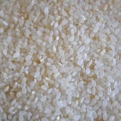 Short Grain White Rice, aka Sushi Rice - Organic