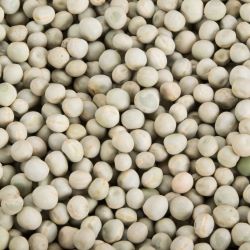 Organic Whole Green Peas - Cook or Sprout