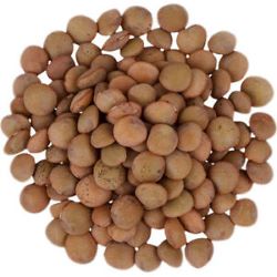 Organic Lentils, Whole Red