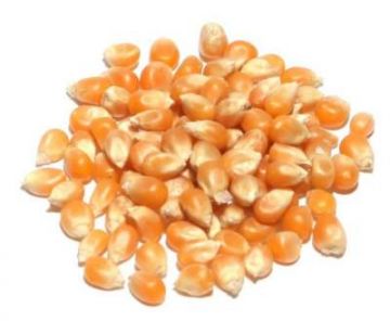 Organic Popcorn, Yellow