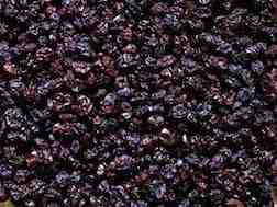 Organic Currants, Black Zante