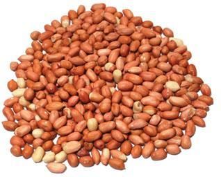 Peanuts, Raw Organic, w/ skin - BACK IN STOCK!