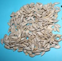 Sunflower Seed Kernels - Organic