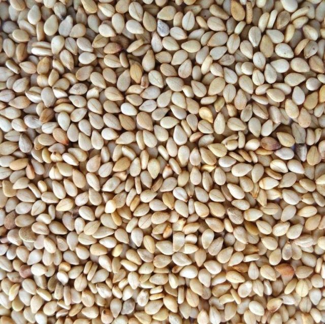 Organic Whole Sesame Seeds